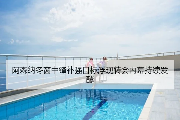 阿森纳冬窗中锋补强目标浮现转会内幕持续发酵